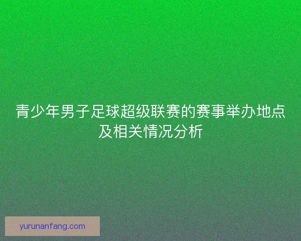 青少年男子足球超级联赛的赛事举办地点及相关情况分析